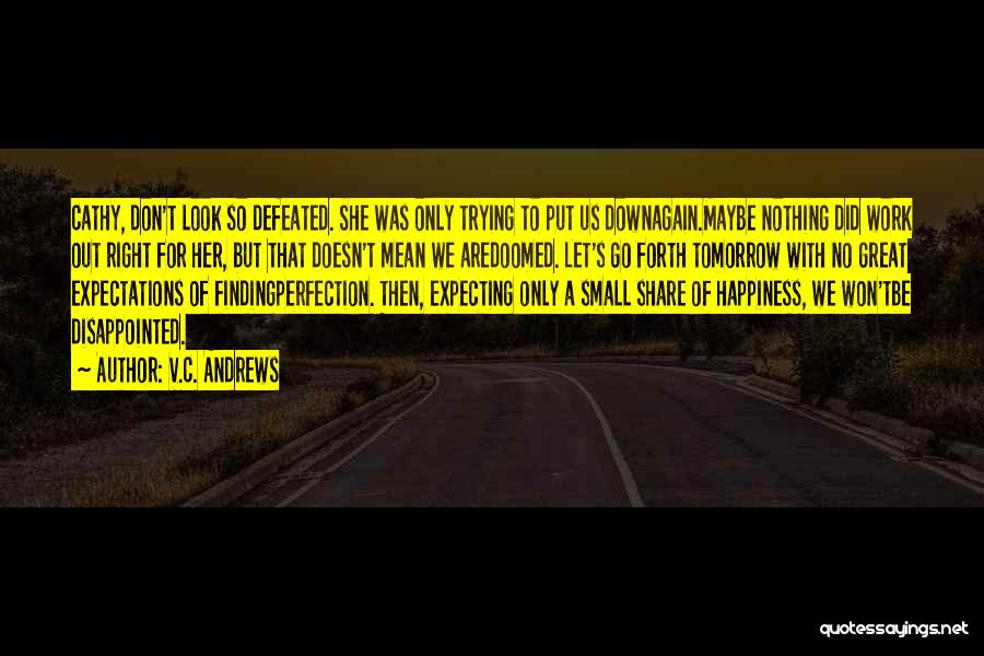 Happiness Comes From Small Things Quotes By V.C. Andrews Happiness Comes From Small Things Quotes By V.C. Andrews