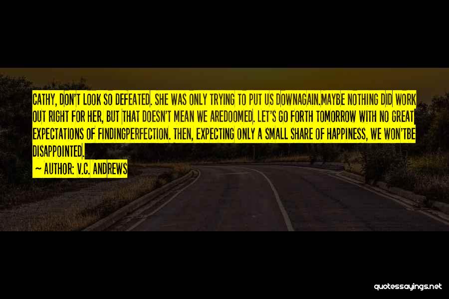 Happiness Comes From Small Things Quotes By V.C. Andrews