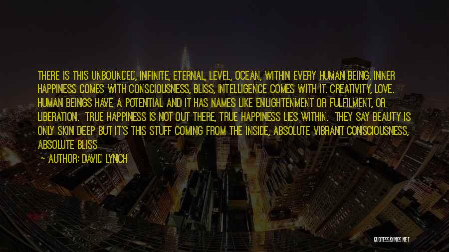 Happiness Comes Within Quotes By David Lynch