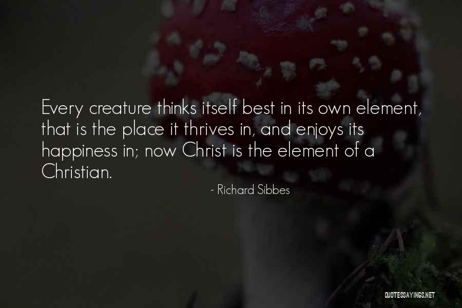 Happiness In Christ Quotes By Richard Sibbes