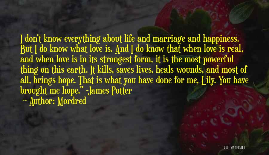 Happiness In Marriage Life Quotes By Mordred