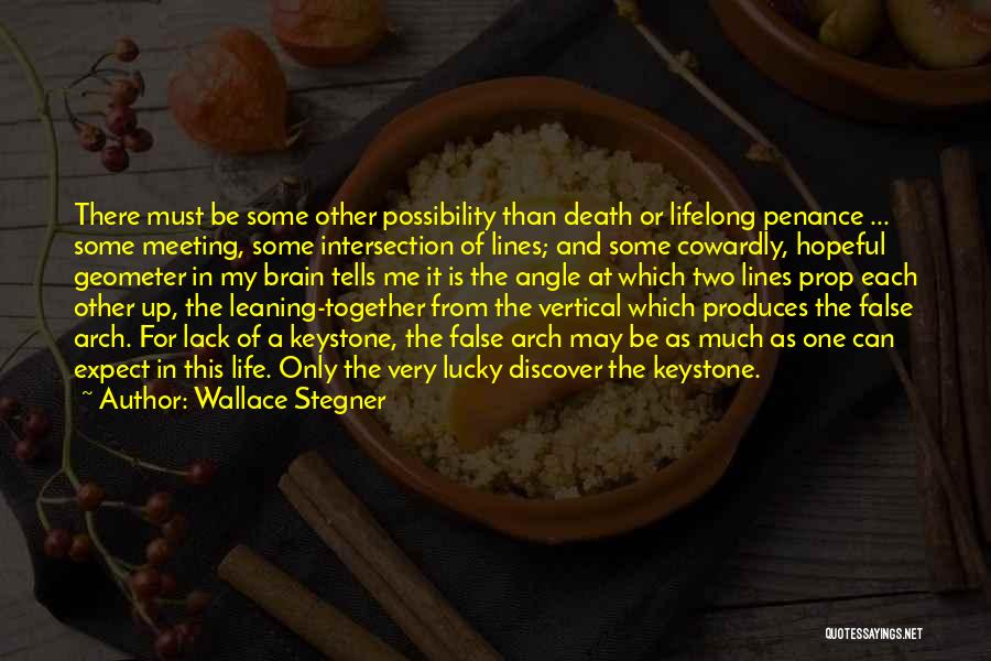 Happiness In Marriage Life Quotes By Wallace Stegner