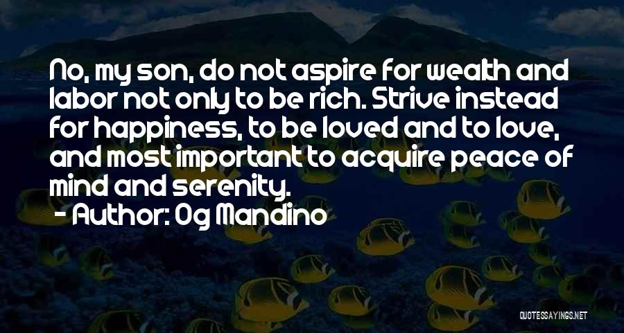 Happiness In My Life Quotes By Og Mandino