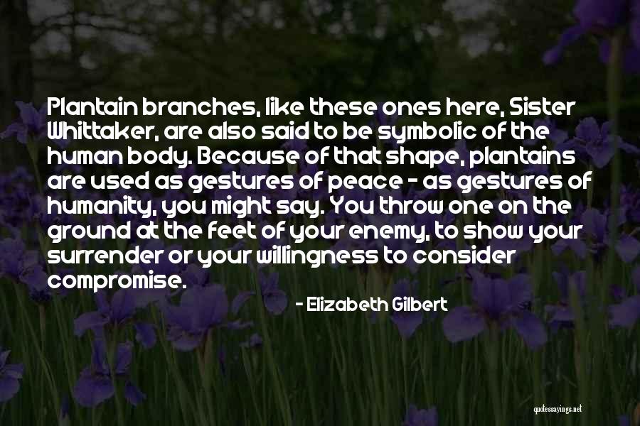 Happiness In Telugu Quotes By Elizabeth Gilbert Happiness In Telugu Quotes By Elizabeth Gilbert