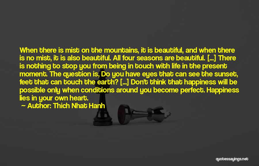 Happiness In The Eyes Quotes By Thich Nhat Hanh