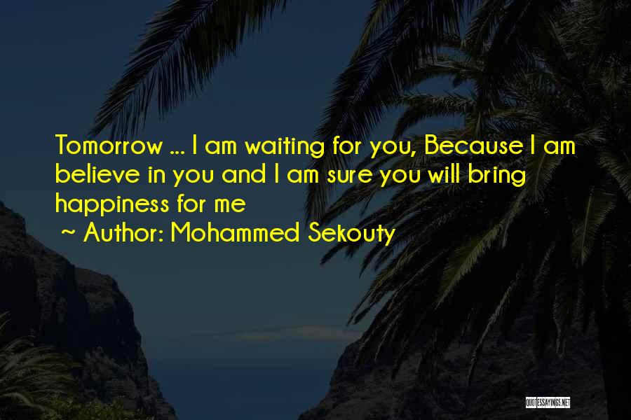 Happiness In You Quotes By Mohammed Sekouty