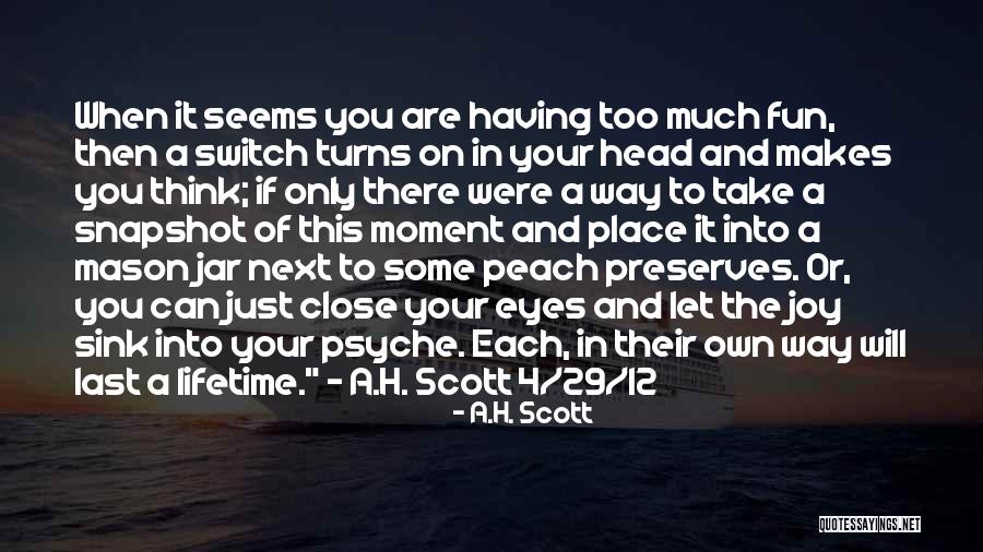 Happiness In Your Eyes Quotes By A.H. Scott