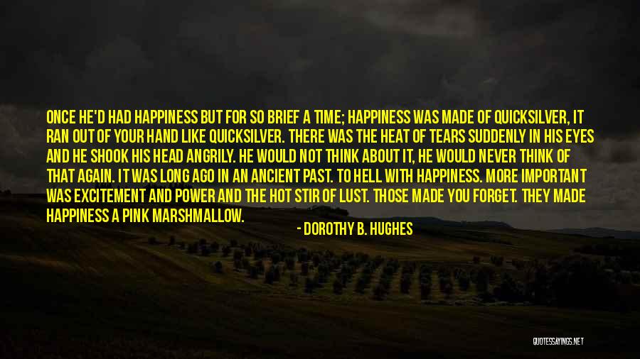 Happiness In Your Eyes Quotes By Dorothy B. Hughes