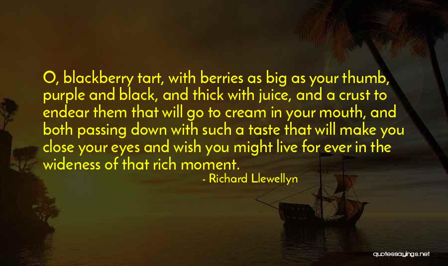 Happiness In Your Eyes Quotes By Richard Llewellyn Happiness In Your Eyes Quotes By Richard Llewellyn