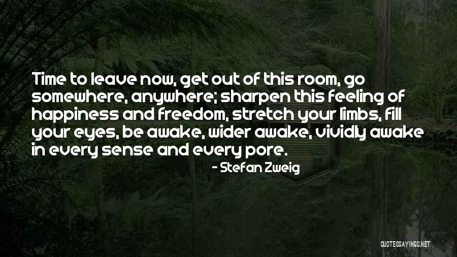 Happiness In Your Eyes Quotes By Stefan Zweig