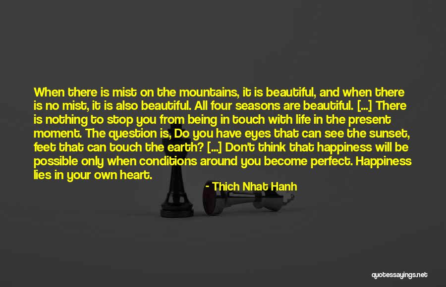 Happiness In Your Eyes Quotes By Thich Nhat Hanh