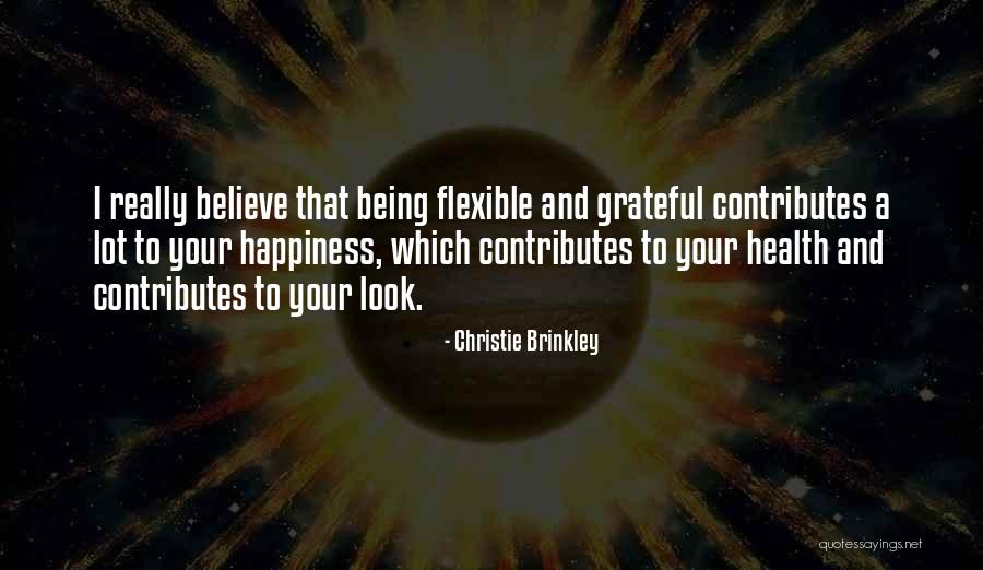 Happiness Is Being Grateful Quotes By Christie Brinkley