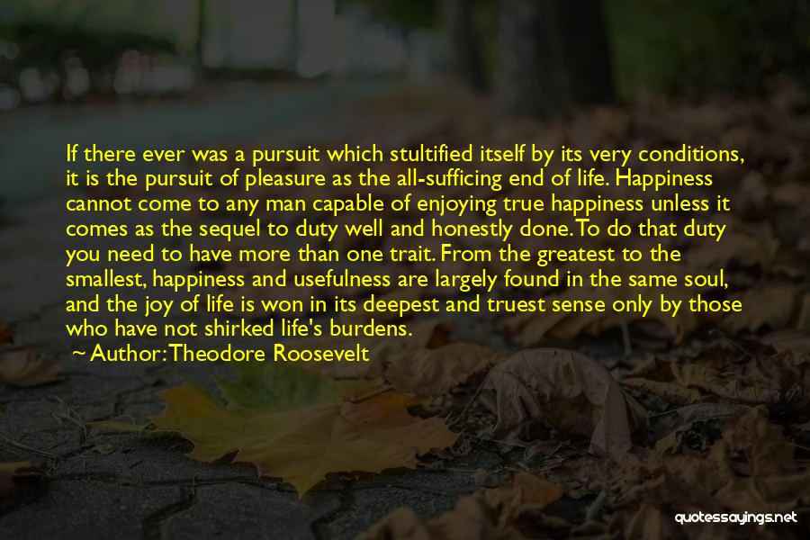 Happiness Is Found Quotes By Theodore Roosevelt