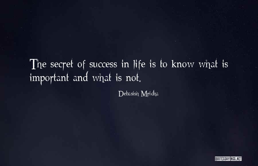 Happiness Is More Important Than Success Quotes By Debasish Mridha Happiness Is More Important Than Success Quotes By Debasish Mridha