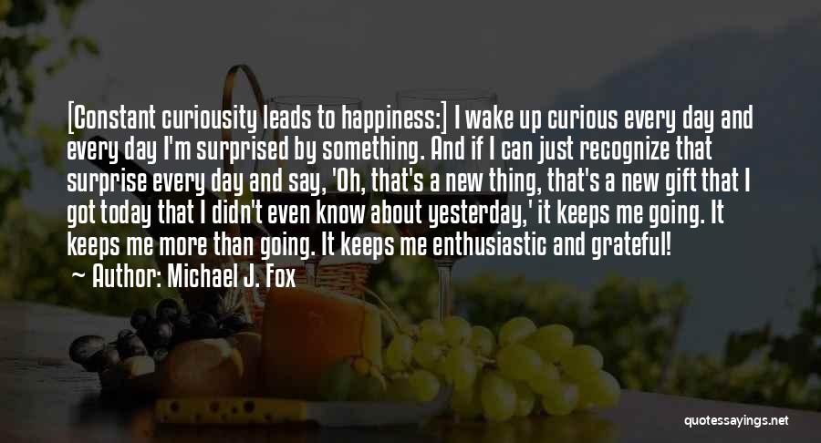 Happiness Is Not Constant Quotes By Michael J. Fox