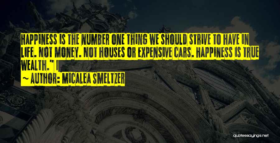 Happiness Is Not Money Quotes By Micalea Smeltzer