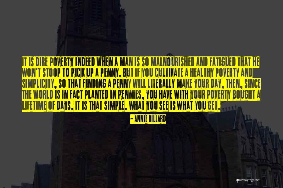 Happiness Is When You Quotes By Annie Dillard Happiness Is When You Quotes By Annie Dillard