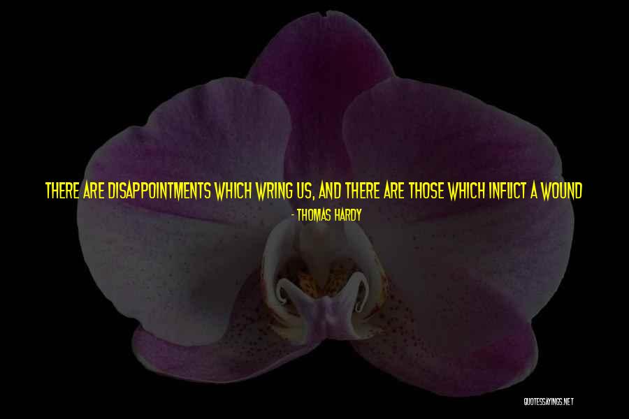 Happiness Not Permanent Quotes By Thomas Hardy