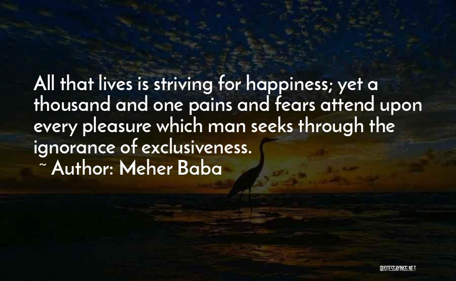 Happiness Through Pain Quotes By Meher Baba