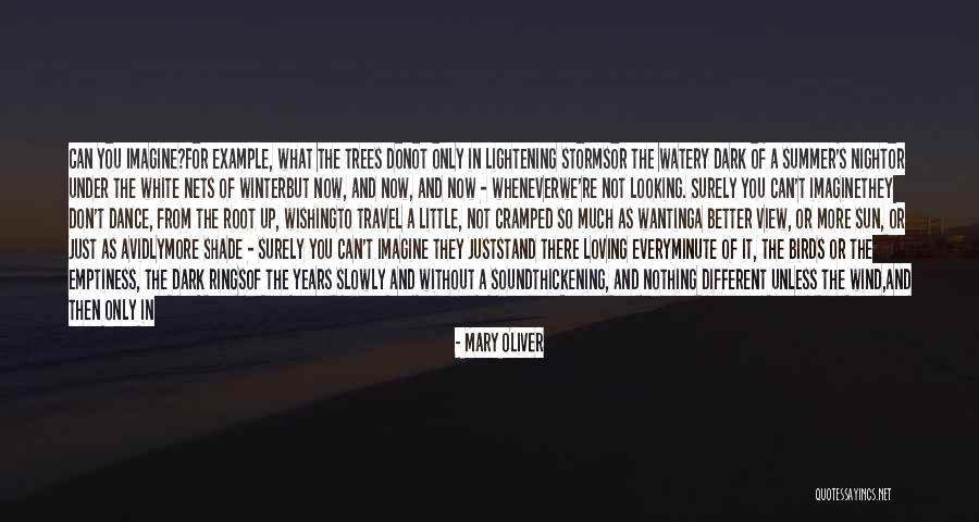 Happiness Travel Quotes By Mary Oliver Happiness Travel Quotes By Mary Oliver