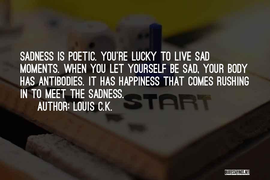 Happiness When Sad Quotes By Louis C.K.