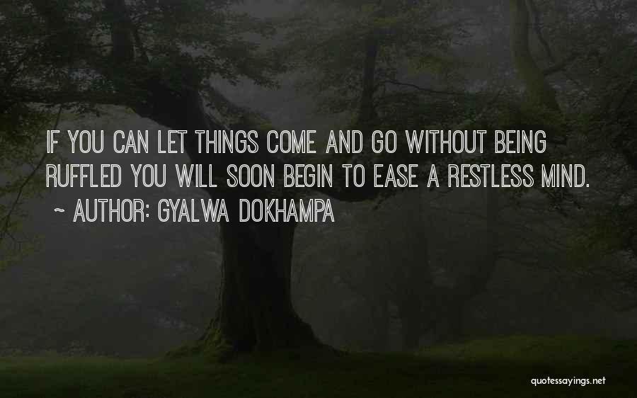 Happiness Will Come Quotes By Gyalwa Dokhampa