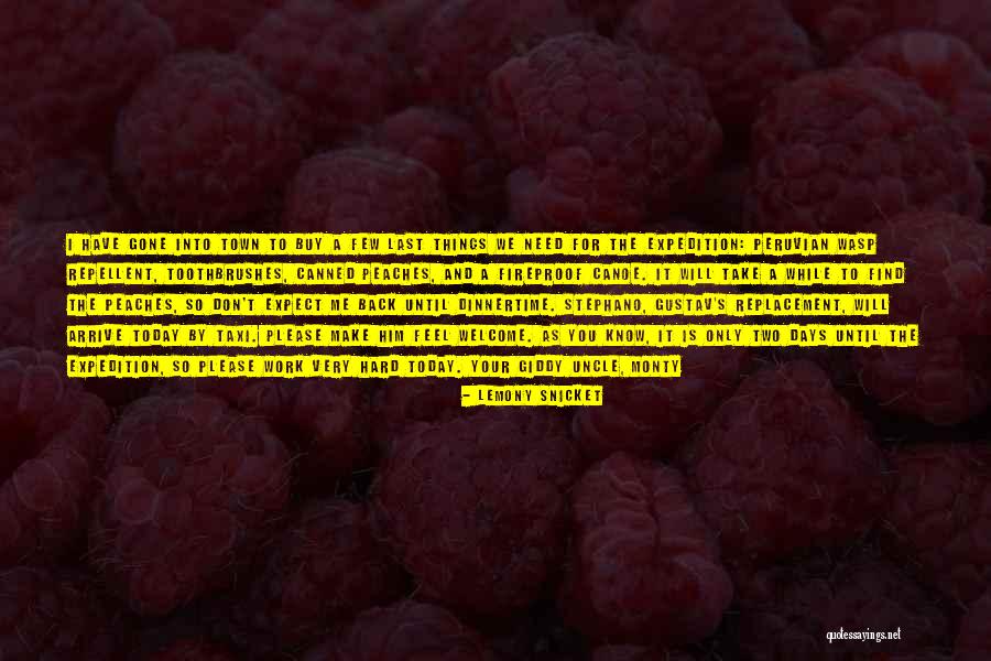 Happiness Will Find You Quotes By Lemony Snicket Happiness Will Find You Quotes By Lemony Snicket