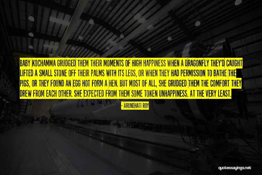 Happiness With Baby Quotes By Arundhati Roy Happiness With Baby Quotes By Arundhati Roy