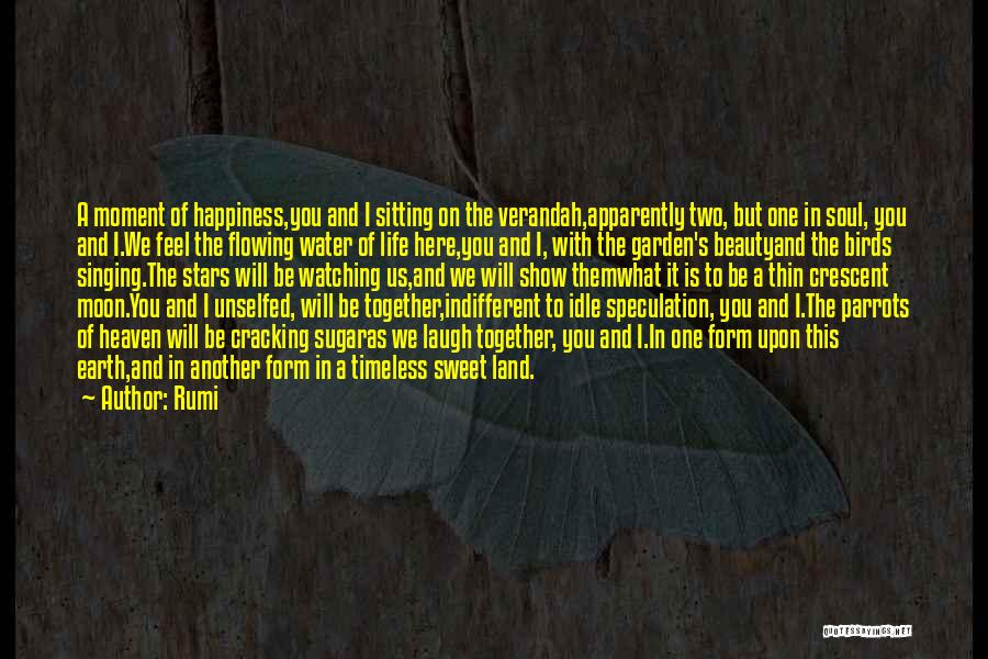 Happiness With Friendship Quotes By Rumi