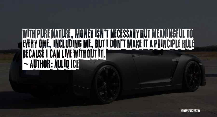 Happiness With Money Quotes By Auliq Ice