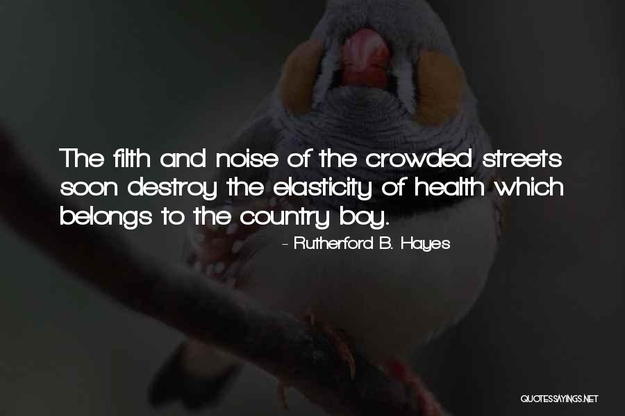 Happinessss Quotes By Rutherford B. Hayes Happinessss Quotes By Rutherford B. Hayes