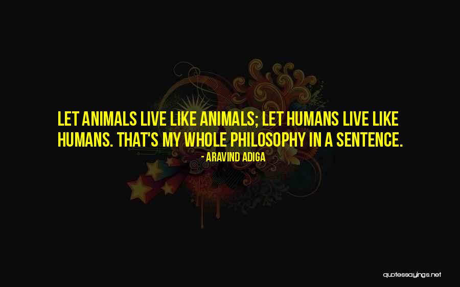 Happy 5 De Mayo Quotes By Aravind Adiga Happy 5 De Mayo Quotes By Aravind Adiga