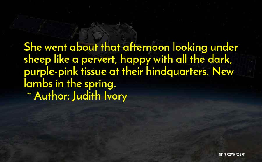 Happy Afternoon Quotes By Judith Ivory