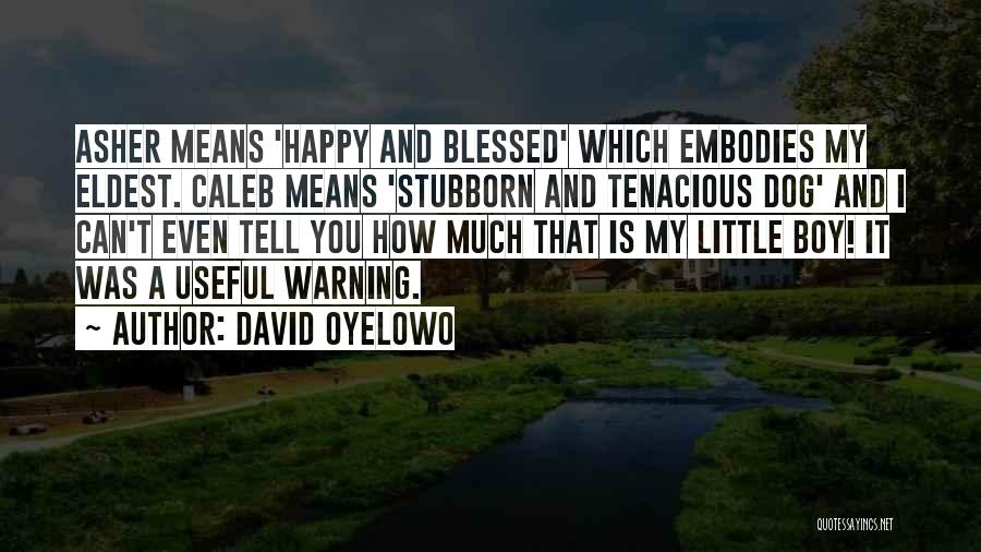 Happy And Blessed Quotes By David Oyelowo