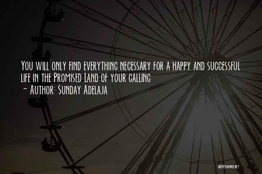 Happy And Successful Life Quotes By Sunday Adelaja