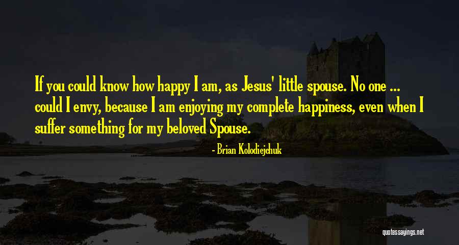 Happy As I Am Quotes By Brian Kolodiejchuk Happy As I Am Quotes By Brian Kolodiejchuk