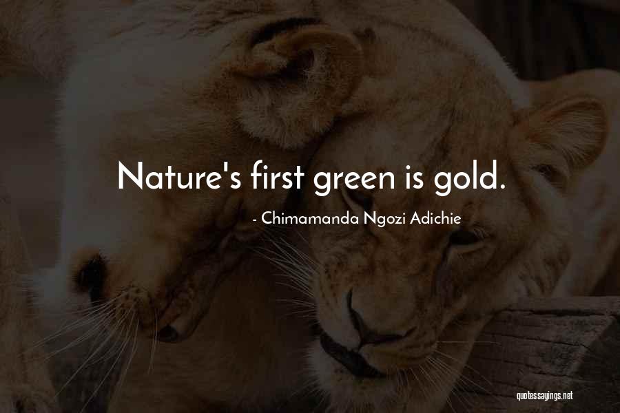 Happy Belated Birthday Stephanie Quotes By Chimamanda Ngozi Adichie Happy Belated Birthday Stephanie Quotes By Chimamanda Ngozi Adichie