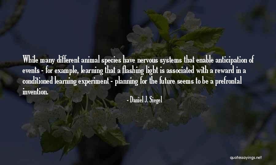 Happy Birthday 17 Year Old Quotes By Daniel J. Siegel Happy Birthday 17 Year Old Quotes By Daniel J. Siegel
