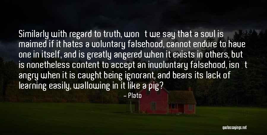 Happy Birthday Homie Quotes By Plato Happy Birthday Homie Quotes By Plato