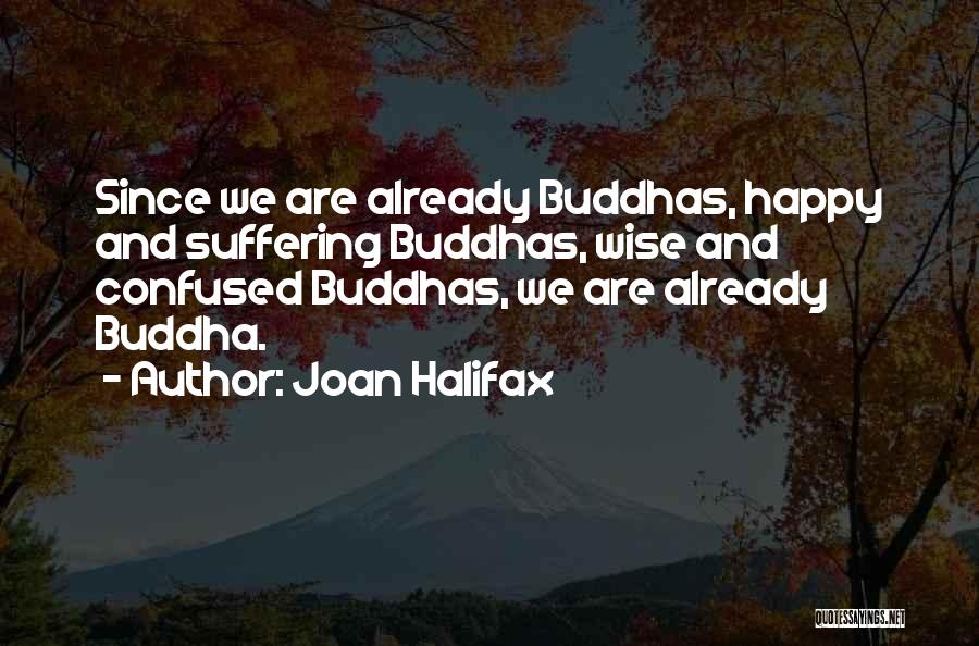 Happy But Confused Quotes By Joan Halifax