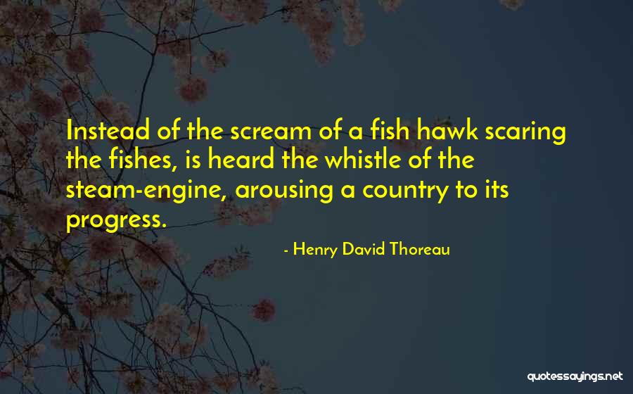 Happy Coincidence Quotes By Henry David Thoreau Happy Coincidence Quotes By Henry David Thoreau