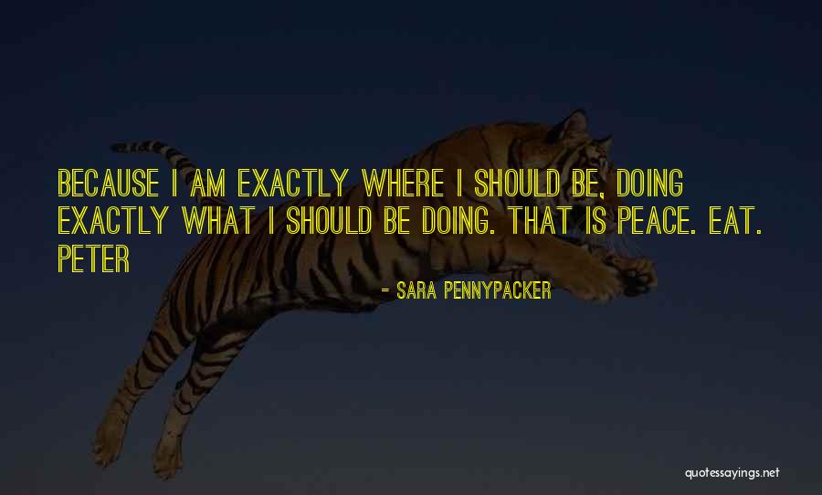 Happy Coincidence Quotes By Sara Pennypacker Happy Coincidence Quotes By Sara Pennypacker