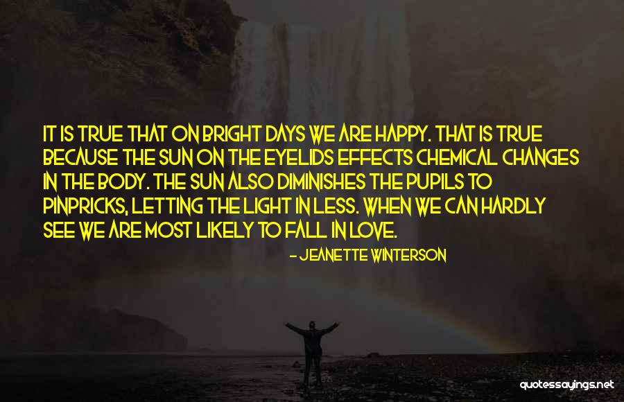 Happy Days Quotes By Jeanette Winterson