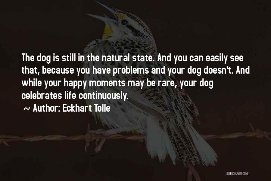 Happy Dog Life Quotes By Eckhart Tolle