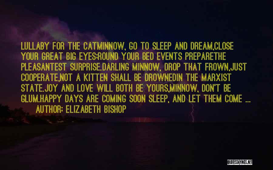 Happy Events Quotes By Elizabeth Bishop