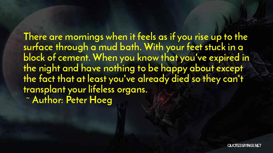 Happy Feet Quotes By Peter Hoeg