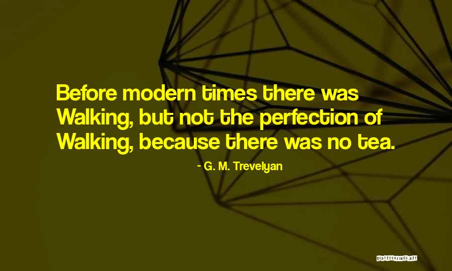 Happy Fiesta Quotes By G. M. Trevelyan Happy Fiesta Quotes By G. M. Trevelyan