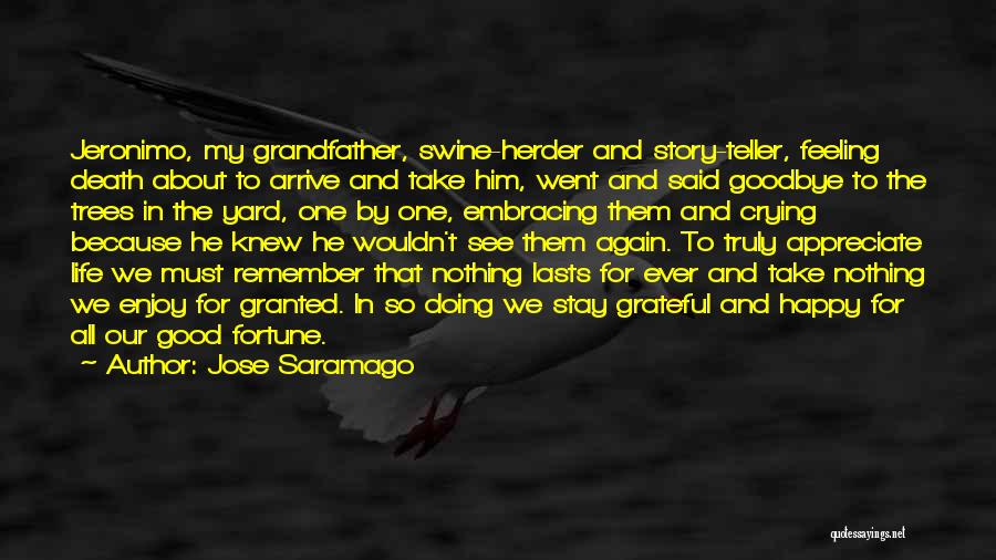 Happy Goodbye Death Quotes By Jose Saramago