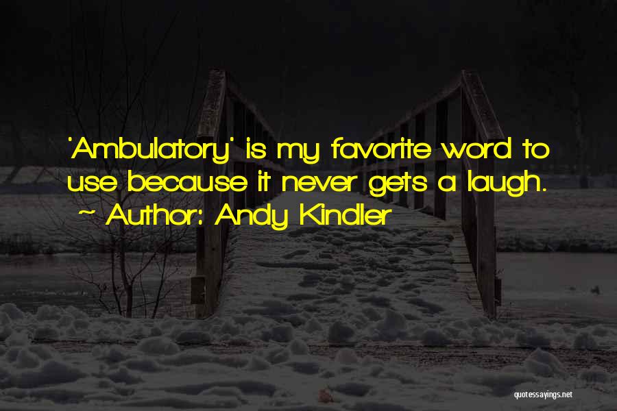 Happy Hans Quotes By Andy Kindler