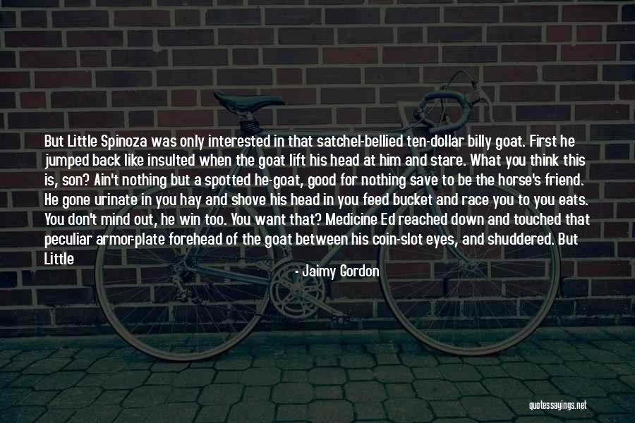 Happy Horse Quotes By Jaimy Gordon Happy Horse Quotes By Jaimy Gordon